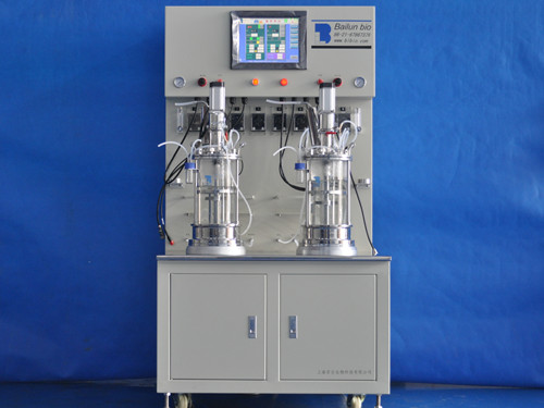 BLBIO-XGJ-2-H  二聯離位滅菌機械攪拌玻璃發酵罐（柜式）